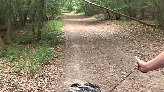 Punishment in the Forest...