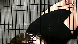 Little Slut Bonded Fucked in a Cage by a Machine Gets a Bowl of Cum to Lick