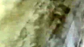 Amateur BJ Oral POV Blowjob Cumshot