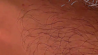 Bathe in the Forest of My Hairs