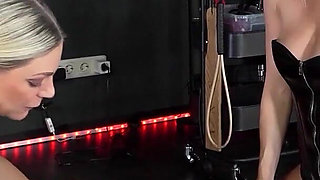 The Slave's Best Day Ever