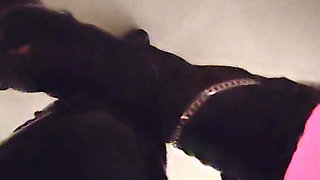 Full Latex Moments Before I Fuck Your Pussy with My Strap-on - Mistress Julia