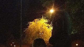 Thick BBW Wife Public Fun!