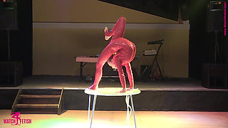 My Contortion Show