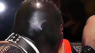 Stella's Cat Training