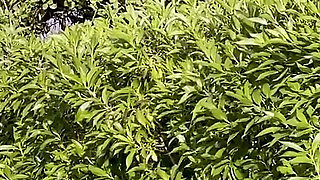 Volleyball Behind the Scenes