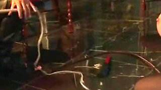 Subordinate bondage big boobs slave