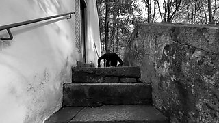 Dominatrix mistress April - the confessional