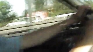 Kitten's tit sucking video