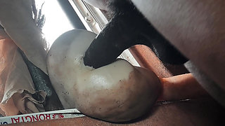 Deep Big Ass & big Dick for all ass