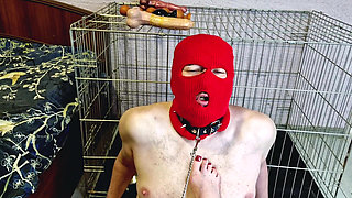 Dominatrix teases slave by giving him the opportunity to fuck her feet, but does not allow the slave to cum