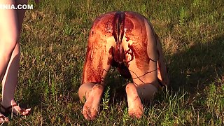 The Forest We Have Our Own Slave