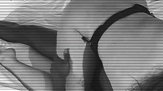 Safety Cam Caught Cheating Girlfriend with BBC. 276