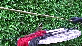 Time for your punishment (Full Video) – MISTRESS KELLY