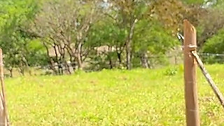 Sexy MILF Desperate for Money Gets Boned by Farmer - POV