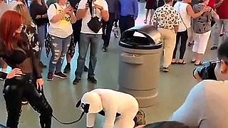 PLATINUM'S PATHETIC PET PUBLIC MUTT CRAWL FemDom