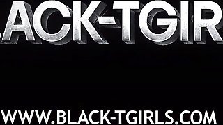 Shaggy Mocha and Bee's black movie