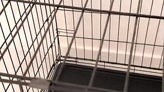 Amateur Blonde Chick Strips To Thong