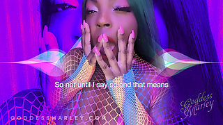 Being My Favorite [closed Captions]