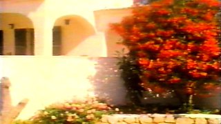 Nasty brunette pornstar with big boobs