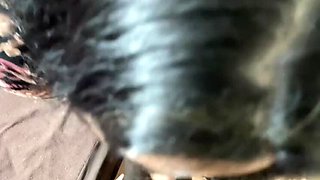 Desi Model Apple Porn Satisfies Director with Blowjob & Cum Swallowing - Indian Bhabhi Big Tits Riding