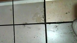 Korean Amateur Sucks Cock in Bathroom Gloryhole