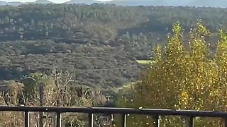 Lola, Gorgeous Brunette, Wants a Big Cock