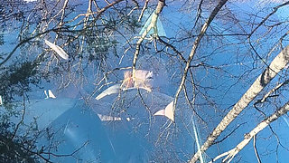 He's Watching Again Strangers Naughty Grin