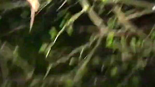 Cum Slut MILF Wife Classy Filth Goes on Her First Dogging Mission