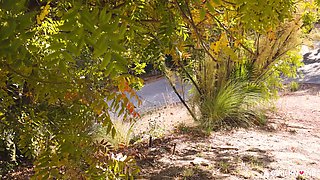 Fruity lesbians unbelievable porn movie