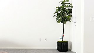 Emo Teen Becka Solo Webcam Masturbation Porn