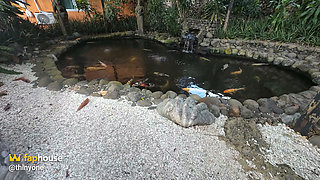 Tiny Asian in Deserted Tropical Resort - Underwater Blowjob, Bath & Shower Sex - Bubbling Creampie