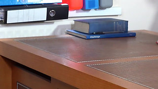 I Punish My Secretary