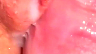 Fuck with My Roommate and Cum on Shaved Pussy