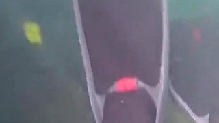 Diving in My Shiny Two-piece Wetsuit