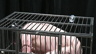 The Secretary Ep7 Part 1