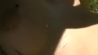 A Good Little Half A Dozen In The Open Air