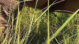 Peeing in the Grass in a Meadow