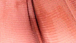 4503619