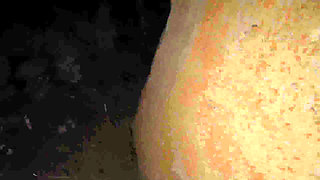 Night Outdoor Blowjob & Full Cum Swallow