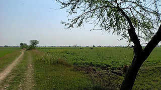 Didi's friend sucked his cock in the fields, girlfriend's mouth fucked, desi village girl fucked Hindi audio, xxx, mms, xvideos, porn