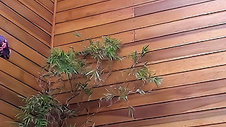 I the Married Brunette Without Her Husband Knowing