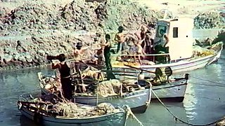 Real amateurs naked outdoor beach orgy