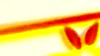 Surprise Cumshot Compilation From Fuzzy Peach Productions