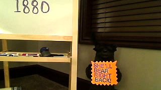 Latina Webcams 027 Free Big Boobs Porn Video