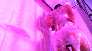 Amateur striptease and Solo masturbation