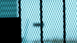 Pantyhose Secret Agent Caper