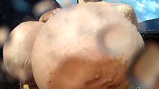 Big and busty tit pornstar