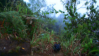 Colombian Jenn Pinzon Sucks Cock and Rides Her Big Ass in the Mountains
