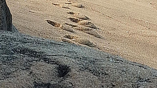 Enjoying the Beach and Showing off My Body.